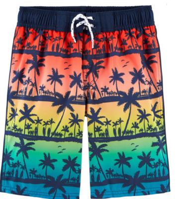 wind and sea PALM TREE SHORTS サイズS Palm Tree Full-Elastic Swim Shorts | Nautica