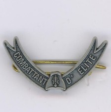 Brevet  Combattant d'élite 46 RI Berlin (argent)