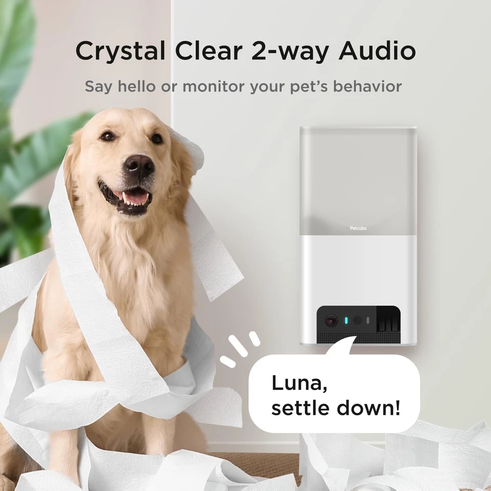 Petcube Bites 2 Lite Pet WiFi Monitoring Camera &Treat Dispenser 1080p HD - Image 4 of 4