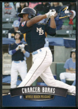 Charcer Burks 2016 Myrtle Beach Pelicans Team Set