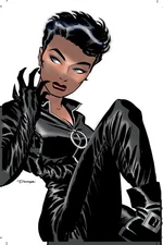 Catwoman Vol. 1: Trail of the Catwoman by Cooke