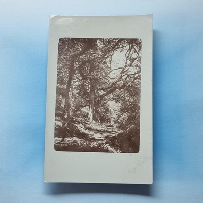 Hythe Postkarte um 1910 Echtfoto Kent Sandling Park Baum & Schattenstudie