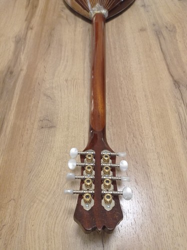 Greek Electric Bouzouki & Softcase & Pickup & 300 Backing track - Picture 18 of 18