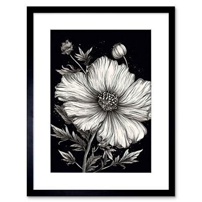 Schwarz-Weiß Kosmos Blume und Sternenhimmel Gerahmter Kunstdruck Bild 9X7''
