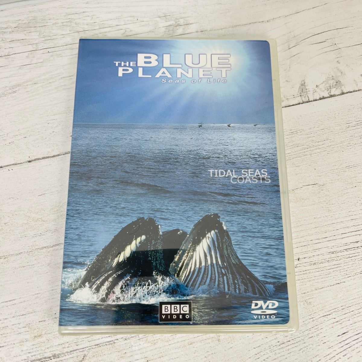 BLUES D Mr.FanTastiC 新品未開封CD メガジャケ The Blue Planet Dvd 2001 Tidal Seas Coasts Narrated By David