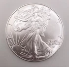 2022 American Silver Eagle 1 oz .999 Fine Silver BU – From Mint Tube