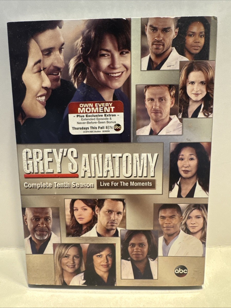 Grey's Anatomy: the Complete Tenth Season (DVD, 2013) for