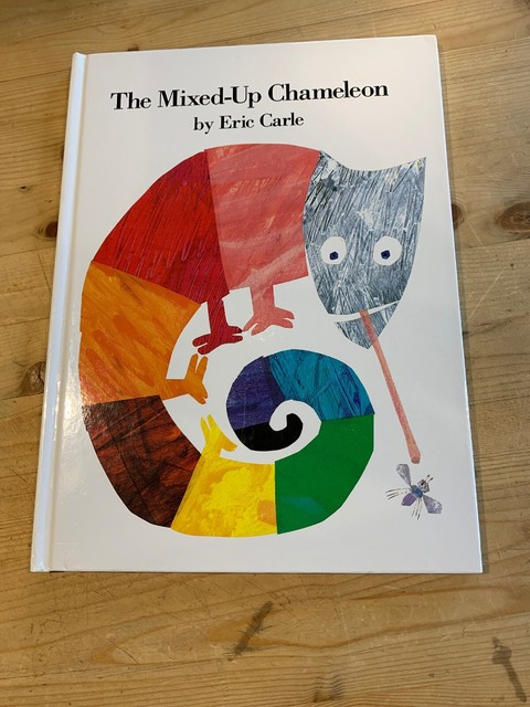 Image result for the mixed up chameleon