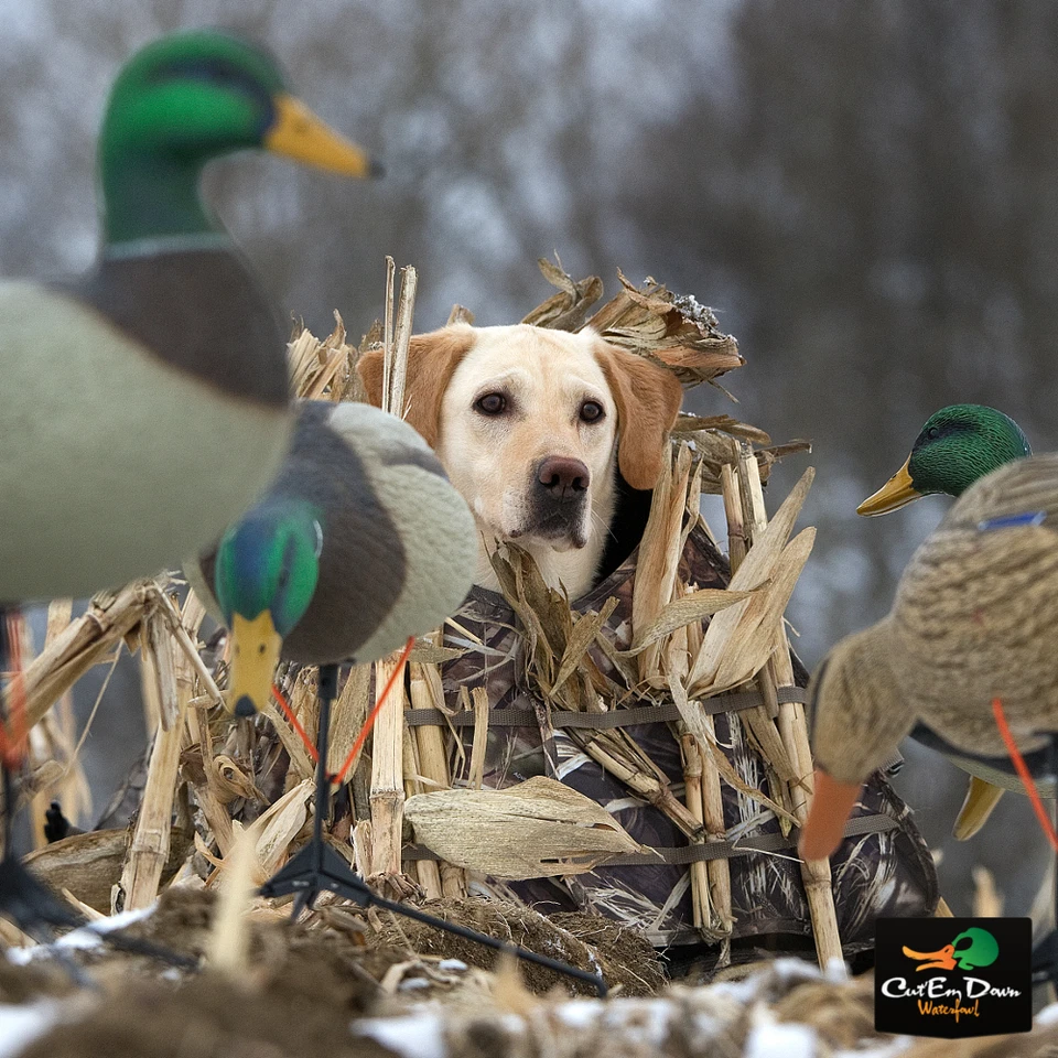 RIG'EM RIGHT WATERFOWL FIELD BULLY DOG BLIND OPTIFADE MARSH CAMO - Image 2 of 4
