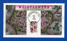 Scott 2686 Wildflowers New Hampshire Moss Campion Hand Painted Collins FDC