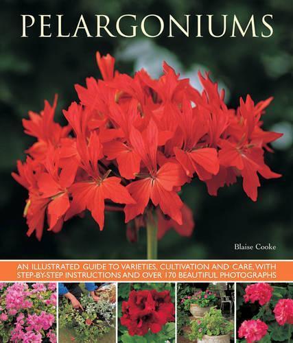 Blaise Cooke Pelargoniums (Tascabile)
