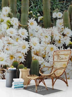 3D Cactus Flower Plant Close-up Wall Murals Wallpaper Murals Wall Sticker