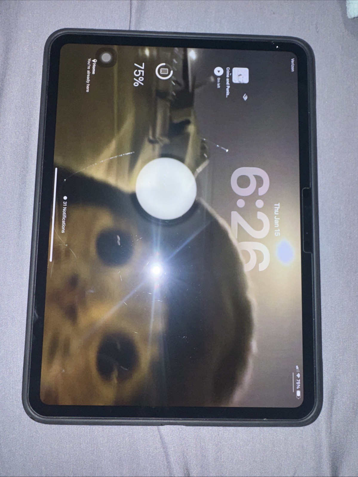 Apple iPad Pro M4 11-inch Wi-Fi Cellular Tablet 256GB, Space Black