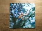 Pink Floyd Obscured By Clouds VG Vinyl LP Record 3C064-05054 Italian Press (M1)