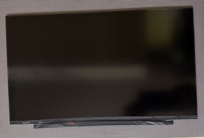 Lenovo Thinkpad E15 Gen 4 Display LCD Full HD Original (N)