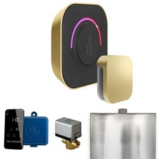 Mr. Steam BTSB ButlerTouch Steam Shower Control Package Satin Brass