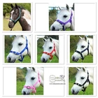 HEADCOLLAR & LEADROPE SET, SHETLAND, PONY, COB, FULL, GOOD VALUE! *FREE POSTAGE*