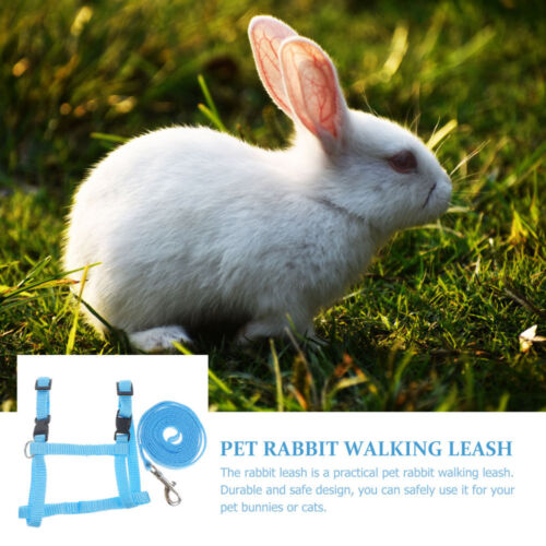 Guinea Pig Harness Leash Rabbit Leash Bunny Harness Rat Harness - Picture 4 of 12