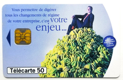 Telekarte 50 - Telefonkarte Ihr Thema ist auch unsere - Sammlung