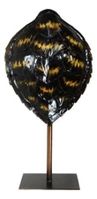Nautical Marine Black Tone Faux Hawksbill Turtle Shell Sculpture With Pole Stand