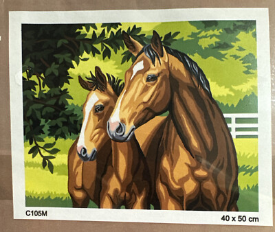 Printed needlepoint Tapestry Canvas Only  40x50 Cm Horses  Orchidea