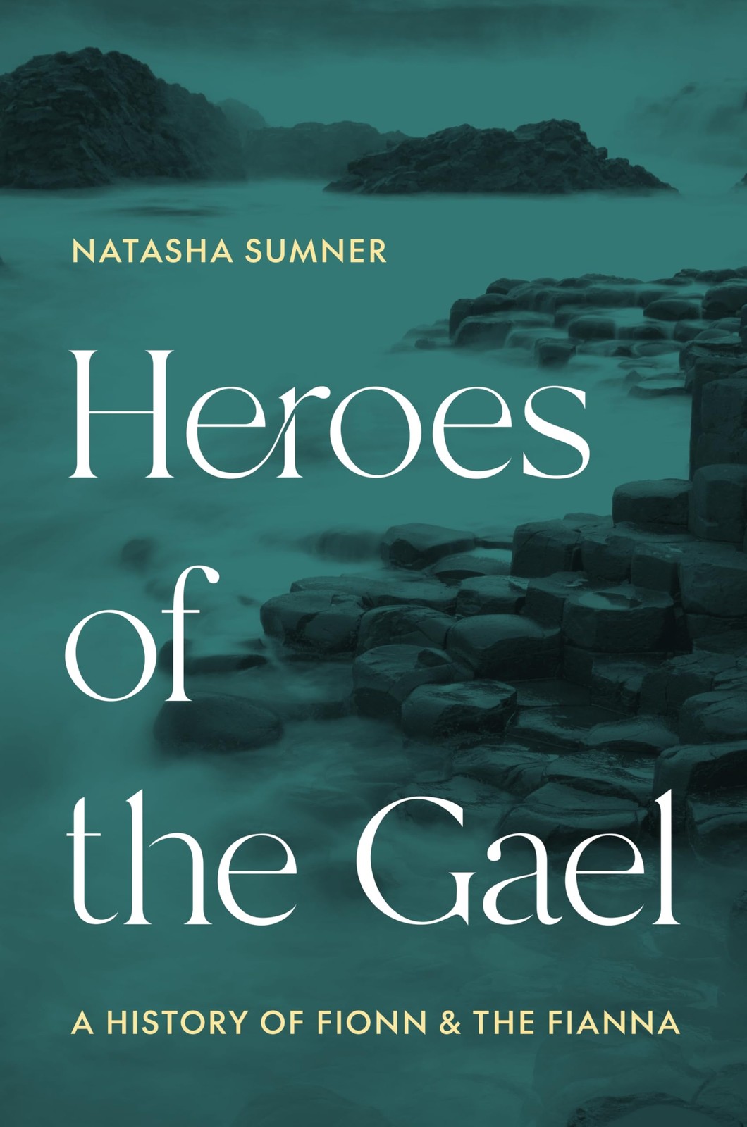 Heroes of the Gael by Natasha Sumner - 9780691204734 - Image 4