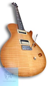 Prs Singlecut Trem | eBay