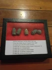 EXCAVATED CIVIL WAR RELICS RECOVERED FROM Congaree River CS Camp South Carolina