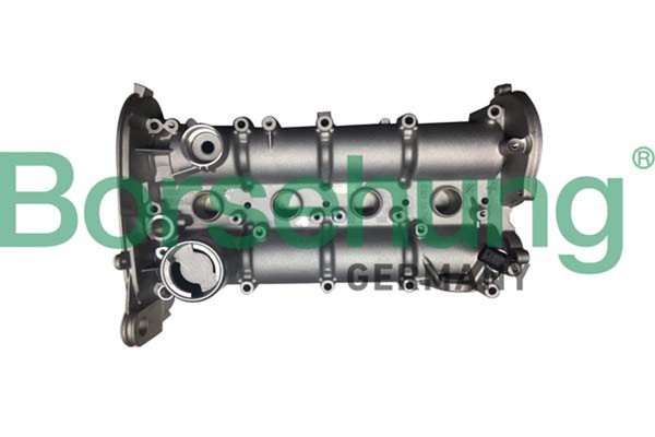 Zylinderkopfhaube Borsehung B12392 FüR VW Polo 5 602 604 612 614 6R1 6C1 Golf 7-image