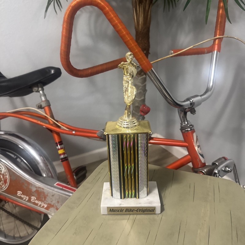 Murray Drag Brake Buzz Buggy Eliminator muscle Bike 16 X 20 Orange all original