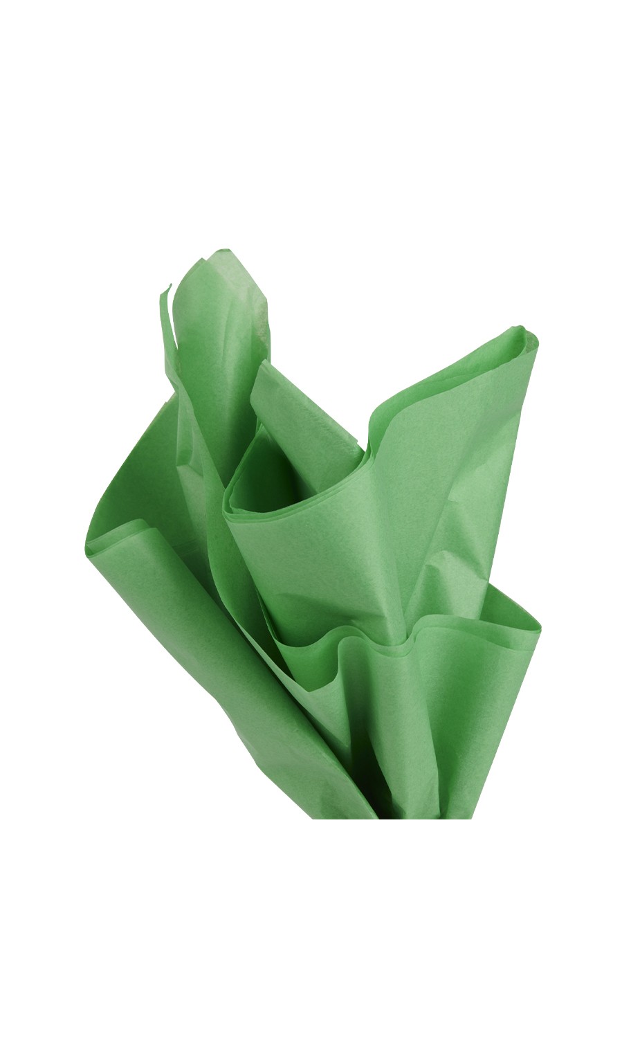 SSWBasics 20 in x 30 in Lawn Green Tissue Paper