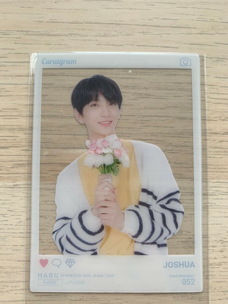 SEVENTEEN 2019 Haru Japan Tour official photo card (select
