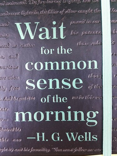 Novel Journals: A Novel Journal: H. G. Wells (Compact) by H. G. Wells (2017, Ha… - Foto 2 di 3