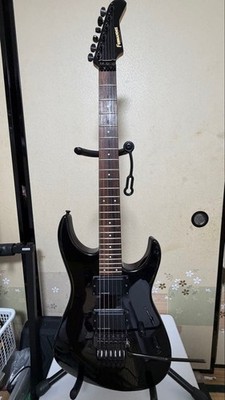 Fernandes Fr-75