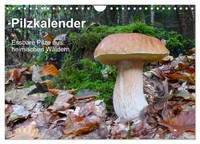"Calendar 2027 · US Version · Mushroom Calendar (Wall Calendar 2027 12\" × 8\" Land"