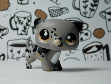 LPS Custom OOAK Hand Painted ferret with ombre eyes With Extras