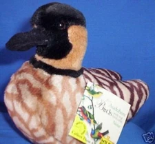 ORIGINAL AUDUBON WILD REPUBLIC NENE *** NO SOUND