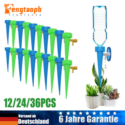 zimmerpflanze ahorn Roter Fächer-Ahorn 'Atropurpureum' kaufen main image 0