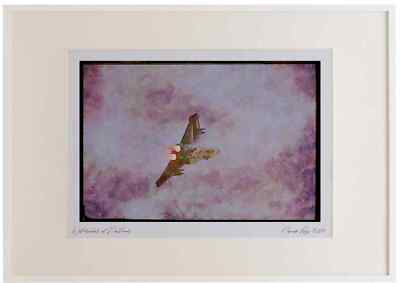 034002 Panavia Tornado F.Mk 3 _ Royal Air Force Aquarell Bilderrahmen Ltd E
