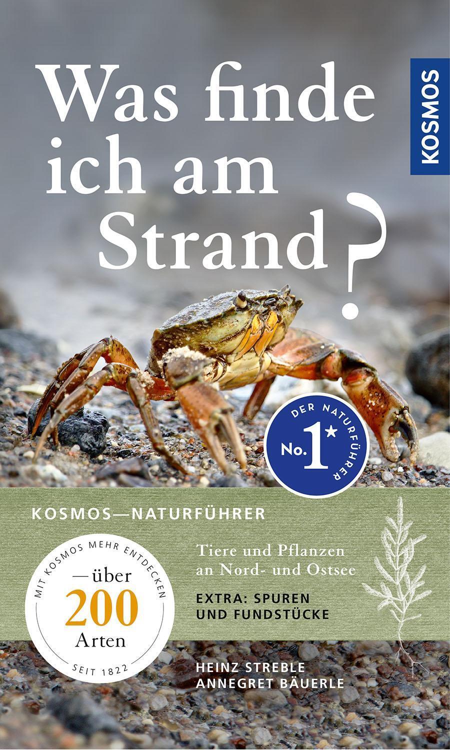 Thumbnail - Was Finde Ich Am Strand? Heinz Streble 9783440173831