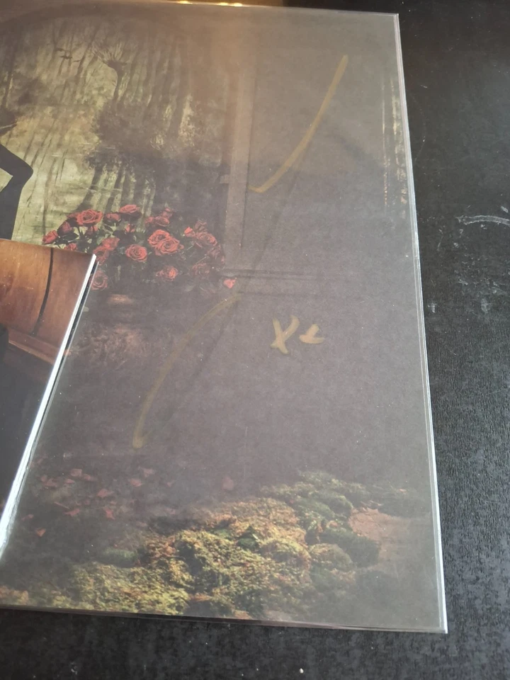 FLORENCE + THE MACHINE EVERYBODY SCREAM CD & 12" SIGNED PRINT - Image 2 of 4