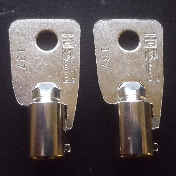 2 KEYS SENTRY SAFE KEY CODE CUT 2038M Tubular Round Ace Key COT TO