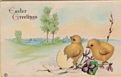 Easter Greetings Easter Baby Chicks Hatching with Violets c1920