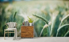 3D Rice Ears Wallpaper Wall Mural Removable Self-adhesive Sticker 1067