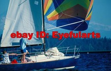 Sailboats Corel Royalty-Free Stock Photo CD-ROM Disk USB