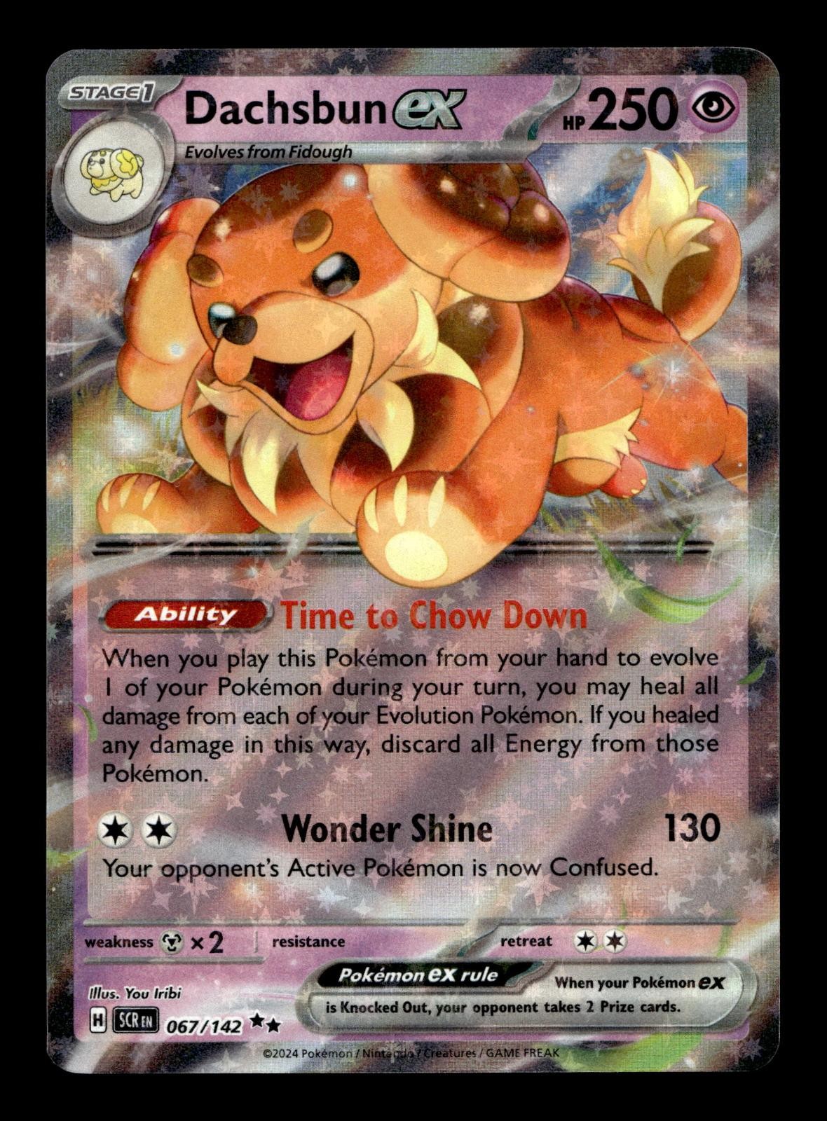 DACHSBUN EX 67/142 DOUBLE RARE STELLAR CROWN POKEMON HOLO NM