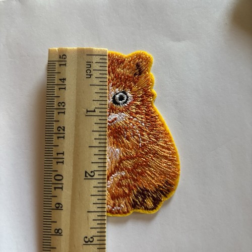 ¡¡GATO NARANJA!! ! ¡TAN LINDO! Parche para planchar + ¡UNA PEGATINA GRATIS!! - Imagen 3 de 3