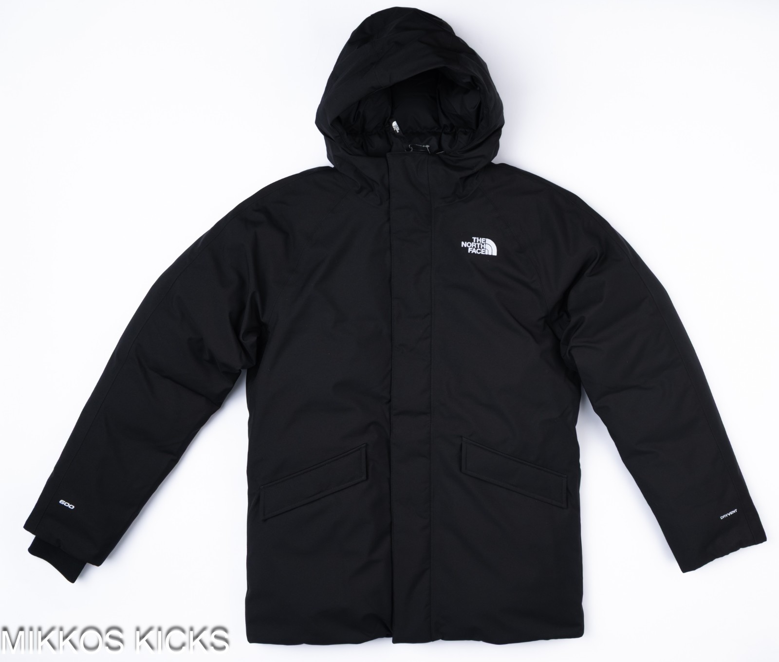 Men's The North Face EXPLORE FARTHER WINTER PARKA DryVent 600 Down Hooded SMALL