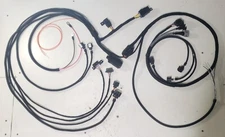 NEW ALH TDI Stand Alone Wiring Harness for 1999-2003 Volkswagen 1.9 Engine Swap