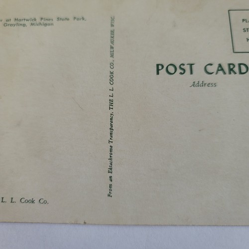 Vintage 1958 Postcard Log Jammer at Hartwick Pines State Park Grayling Michigan - Picture 12 of 13